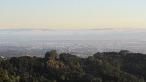 Die kalifornische Stadt Berkeley liegt etwas im Dunst. Davor bewaldete Hügel