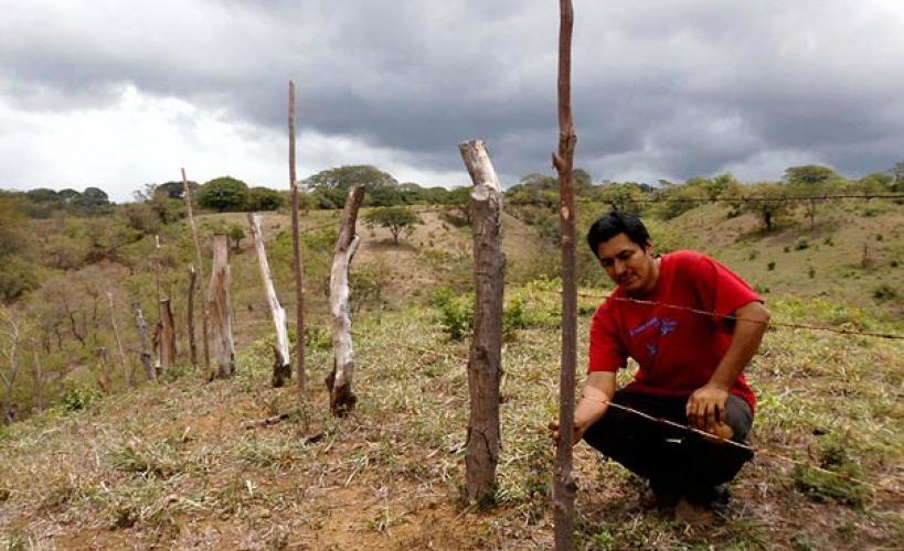 Wiederaufforstung in Nicaragua im Rahmen des Klimaprojektes mit San Marcos