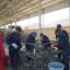 Abfallentsorgungsprojekt in Deir Alla - 4 Männer sortieren im April 2018 mithilfe eines großen Siebes, den Hausmüll der Region, um eine Abfallanalyse durchzuführen