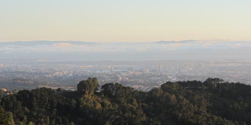 Die kalifornische Stadt Berkeley liegt etwas im Dunst. Davor bewaldete Hügel