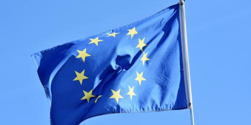 Die EU-Flagge ist blau mit goldenen Sternen, die in einem Kreis angeordnet sind
