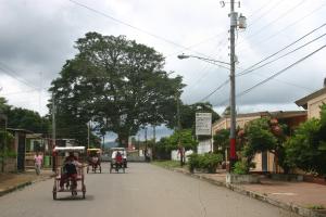 Eine Straßenszene in San Marcos. Im Hintergrund sieht man einen großen Baum, der wichtiger Orientierungspunkt in der Stadt ist. Auf der Straße rollt eines der typischen Fahrradtaxis "triciclo"