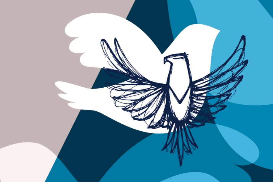 Das Logo des Erinnerungsprojektes "Von Feinden zu Freunden". Die Friedenstaube vor blau-grauem Hintergrund